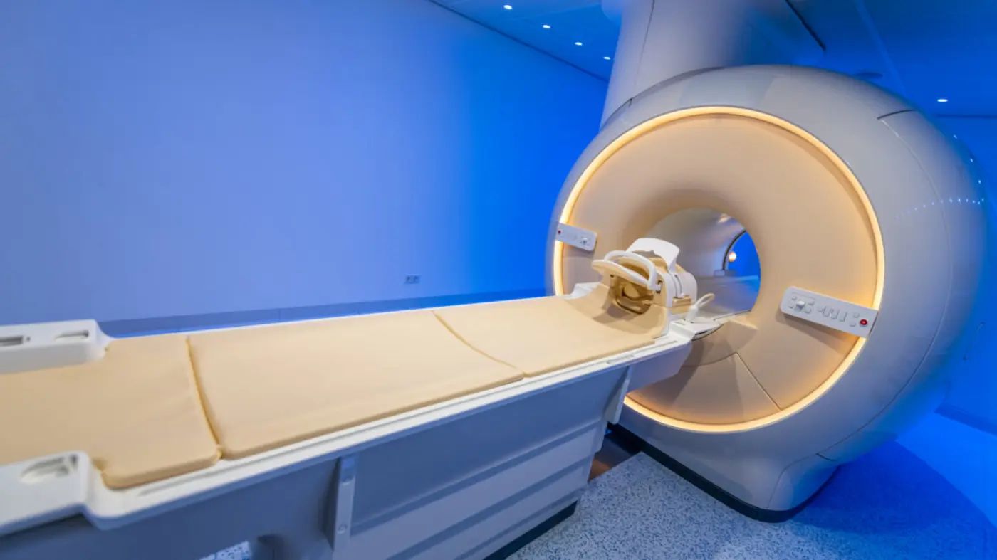 a new look at brains transformed by psychedelics