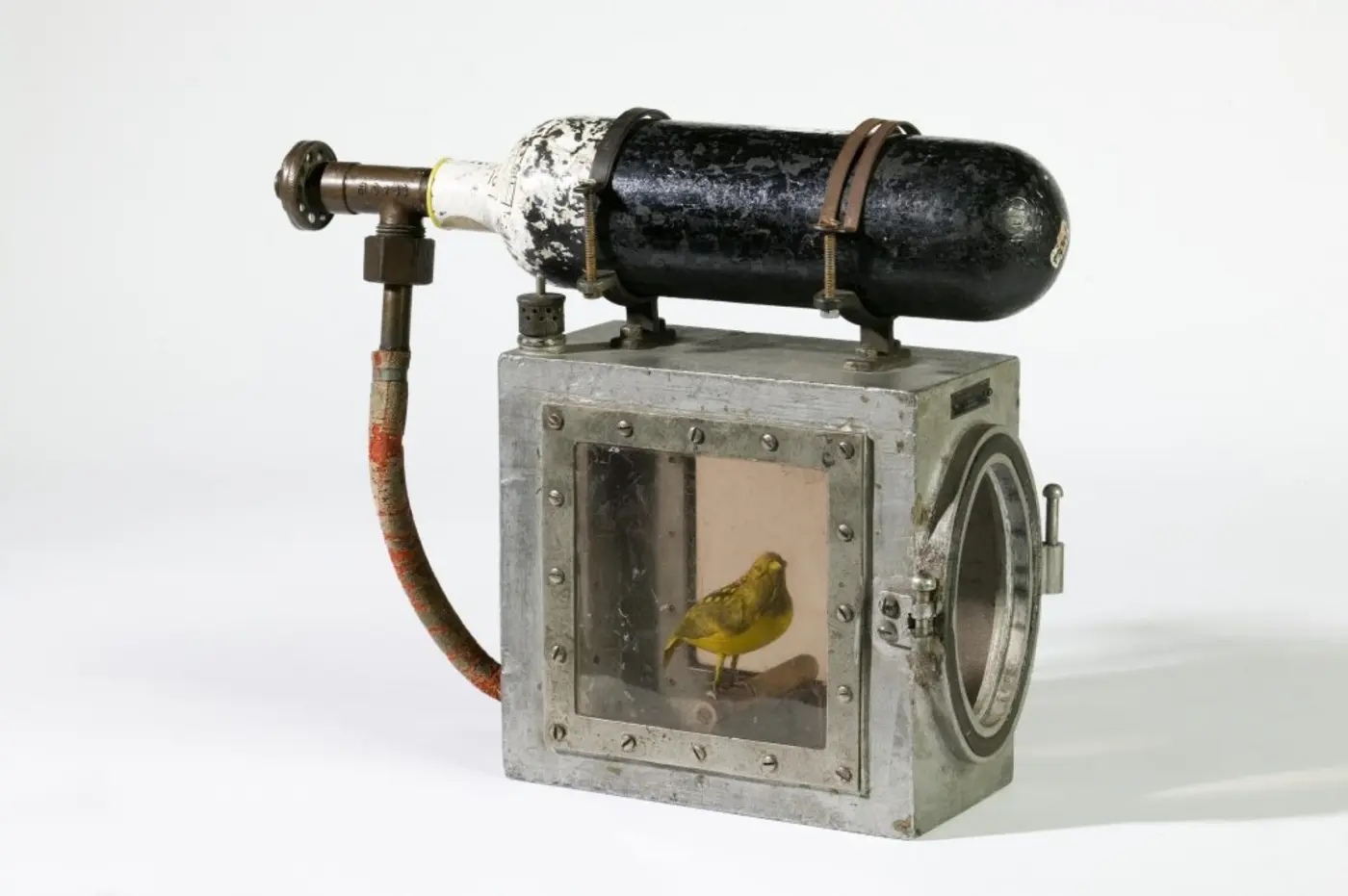 the canary resuscitator 2018