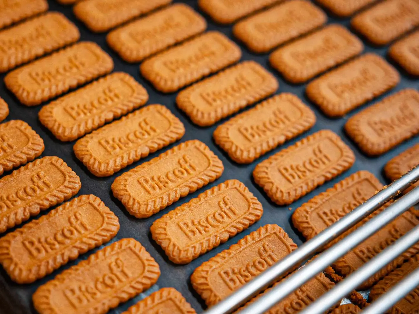 deltas biscoff cookies were supposed to be temporary