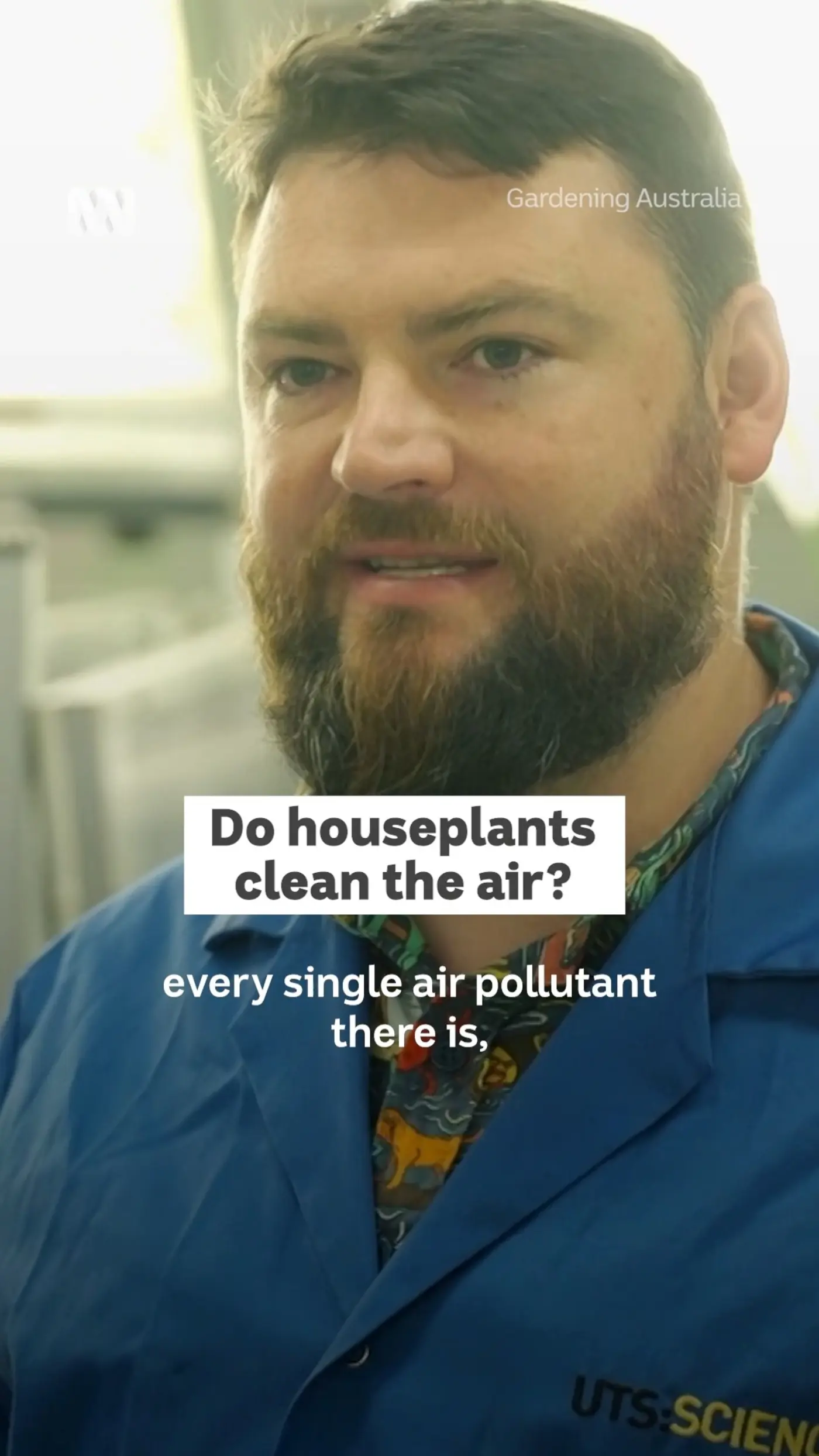 plants filter almost all air pollution