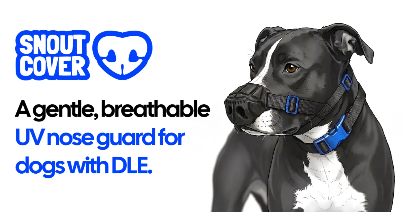 i designed a nose guard for my dog and gave it away now 500 dogs wear one