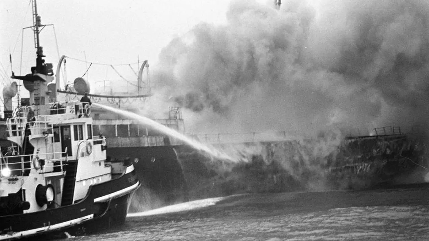 the fire retardant in the seafood chain