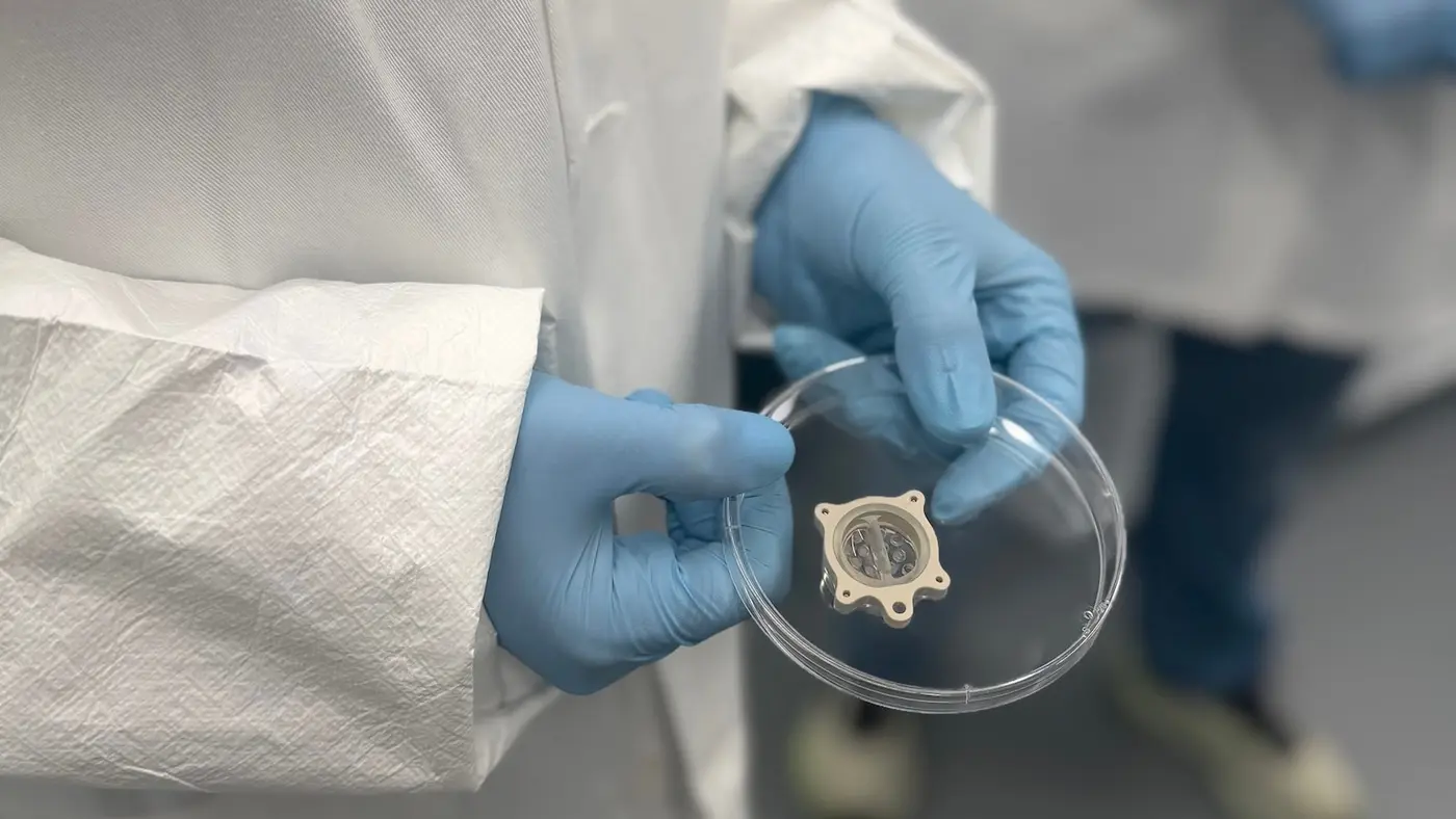 mini organs launching to space may help future astronauts stay healthy