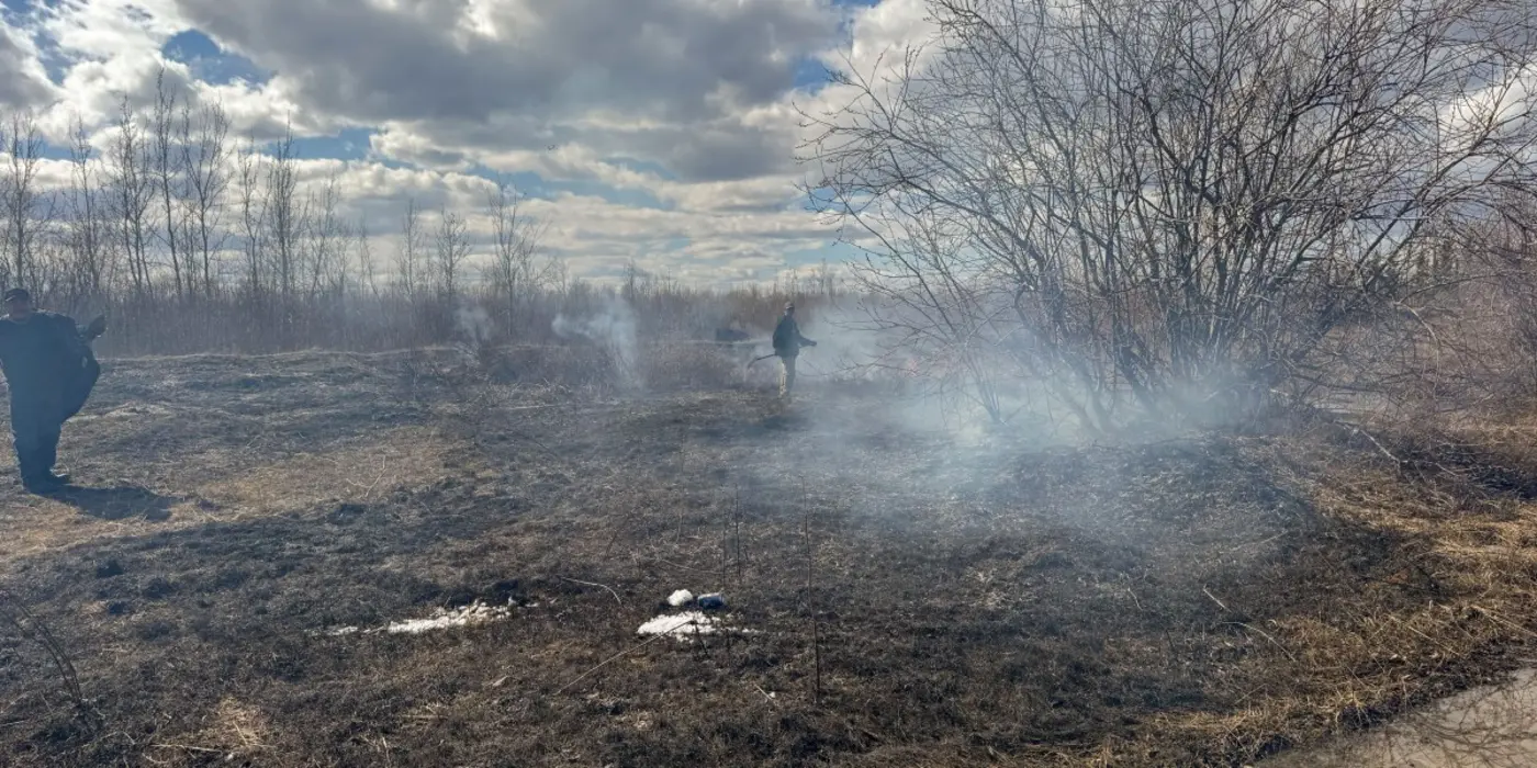 the download preserving the arctic permafrost and playful ai agents