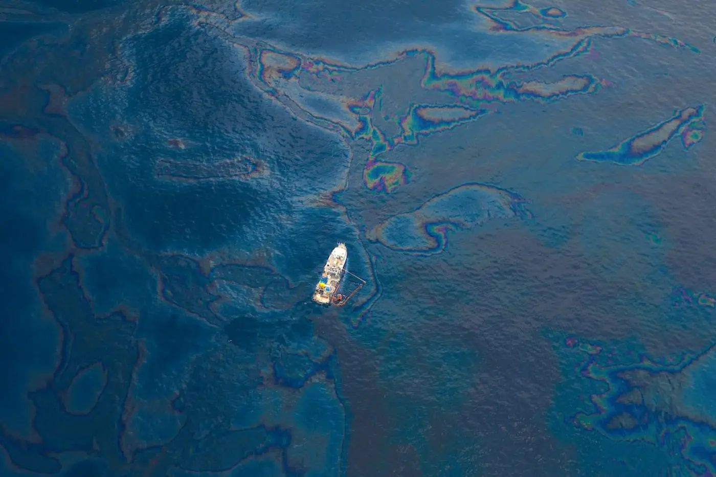 sixteen years after deepwater horizon deep sea life shows few signs of recovery