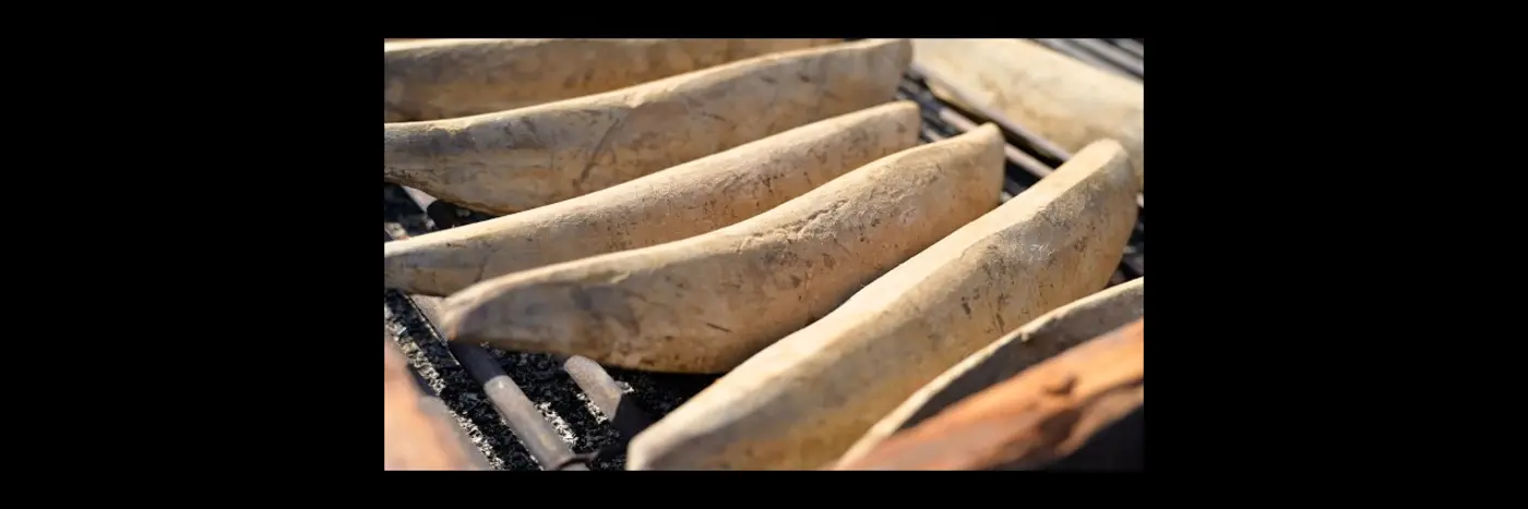 how japanese dried bonito is made
