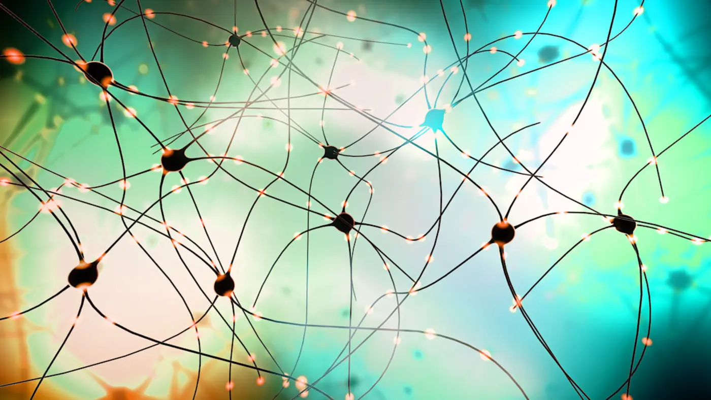 mini brain organoids reading braille key step towards biohybrid computing