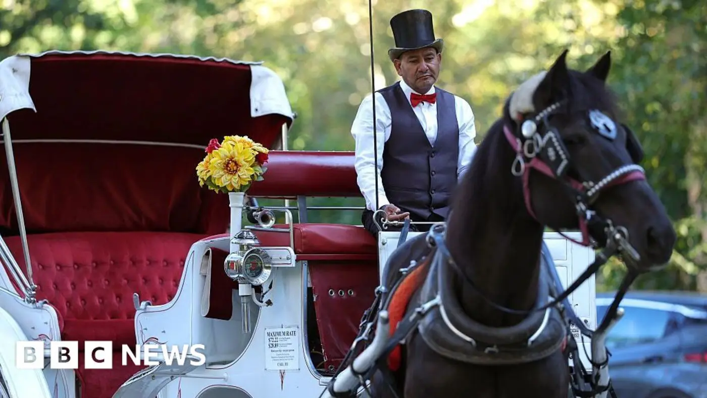 new york bans horsedrawn carriages after 160 years