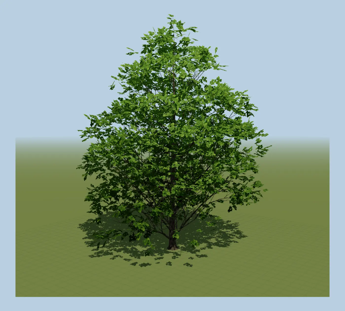 growing trees