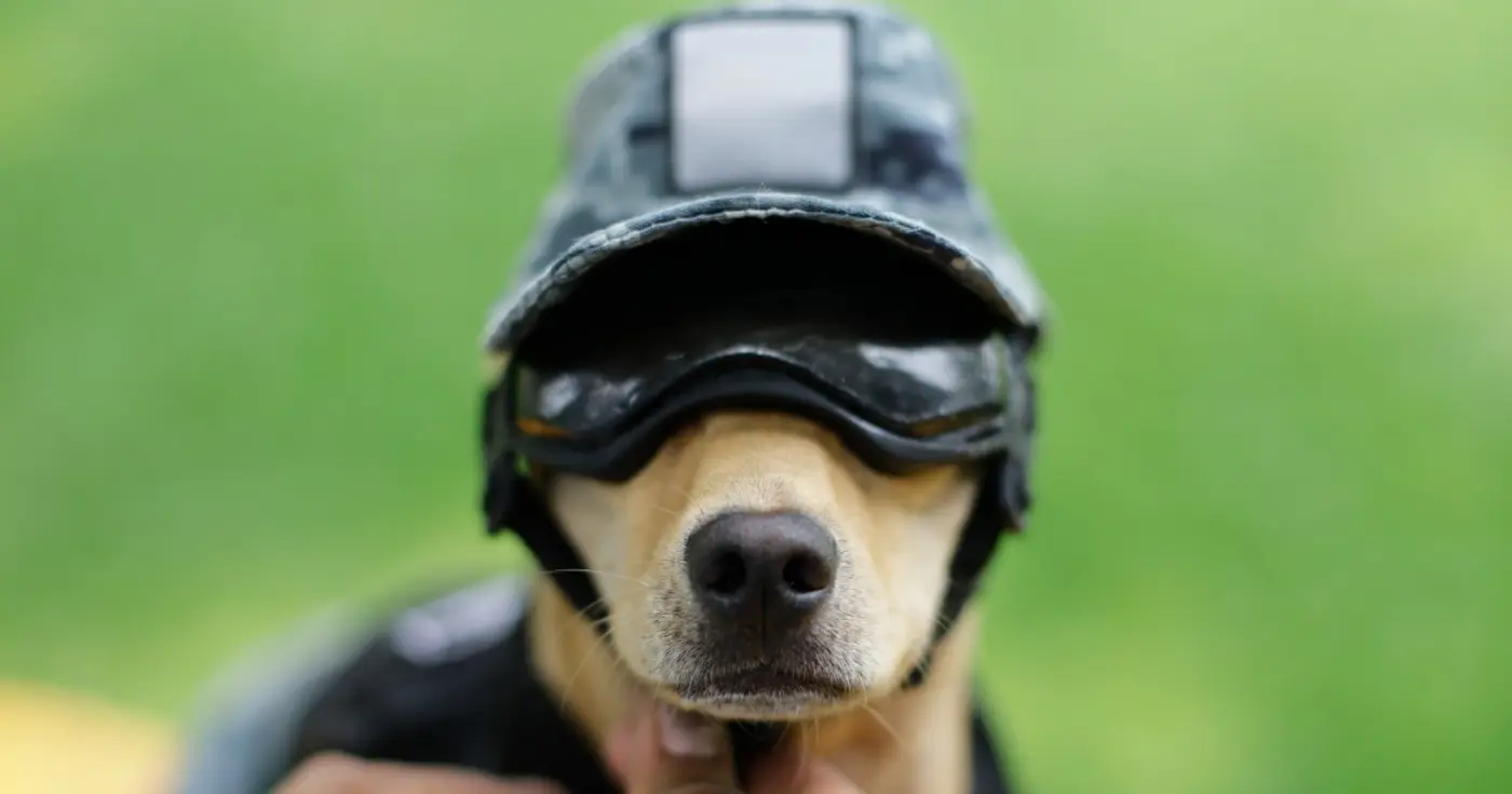 palmer luckey is launching a genetically engineered war dog startup