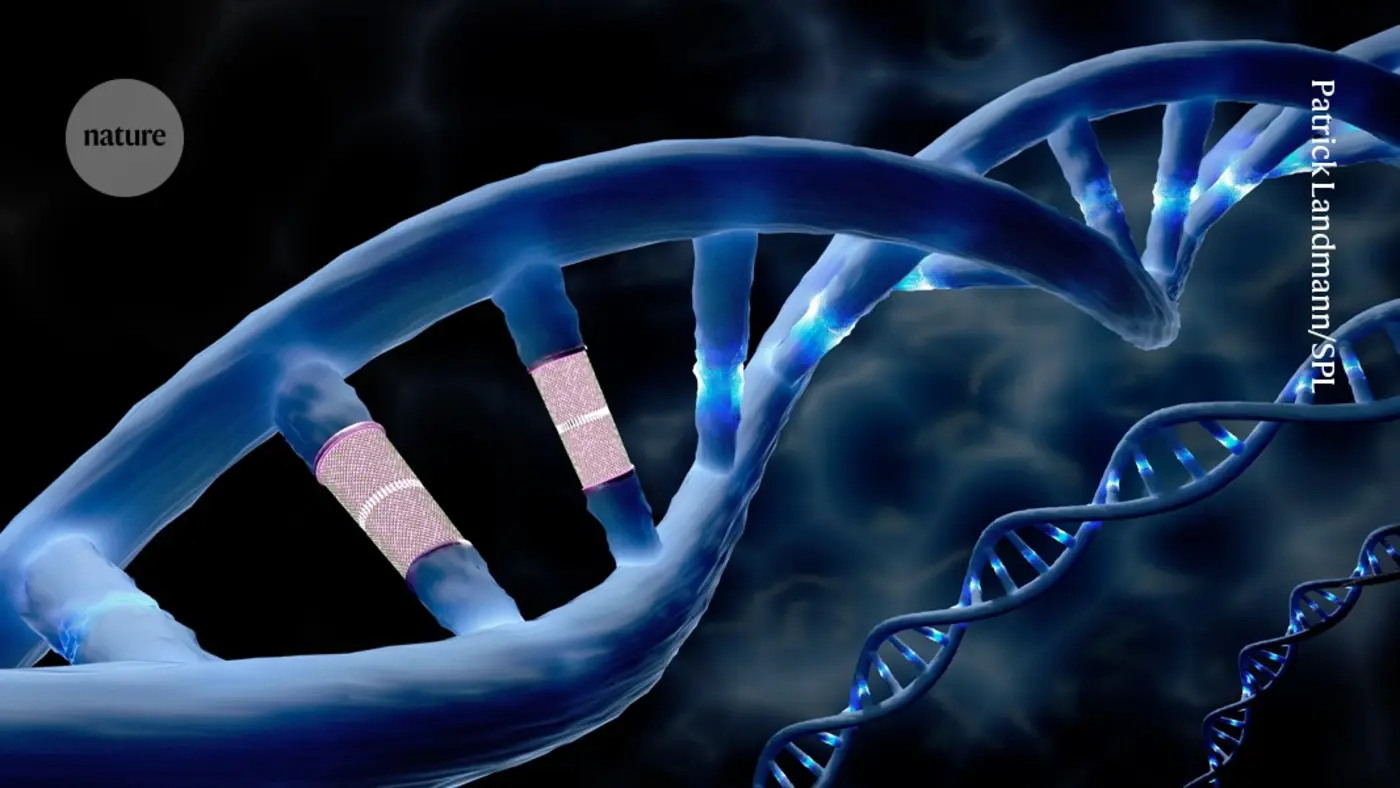 a first for crispr powerful prime editing alters dna directly in the human body