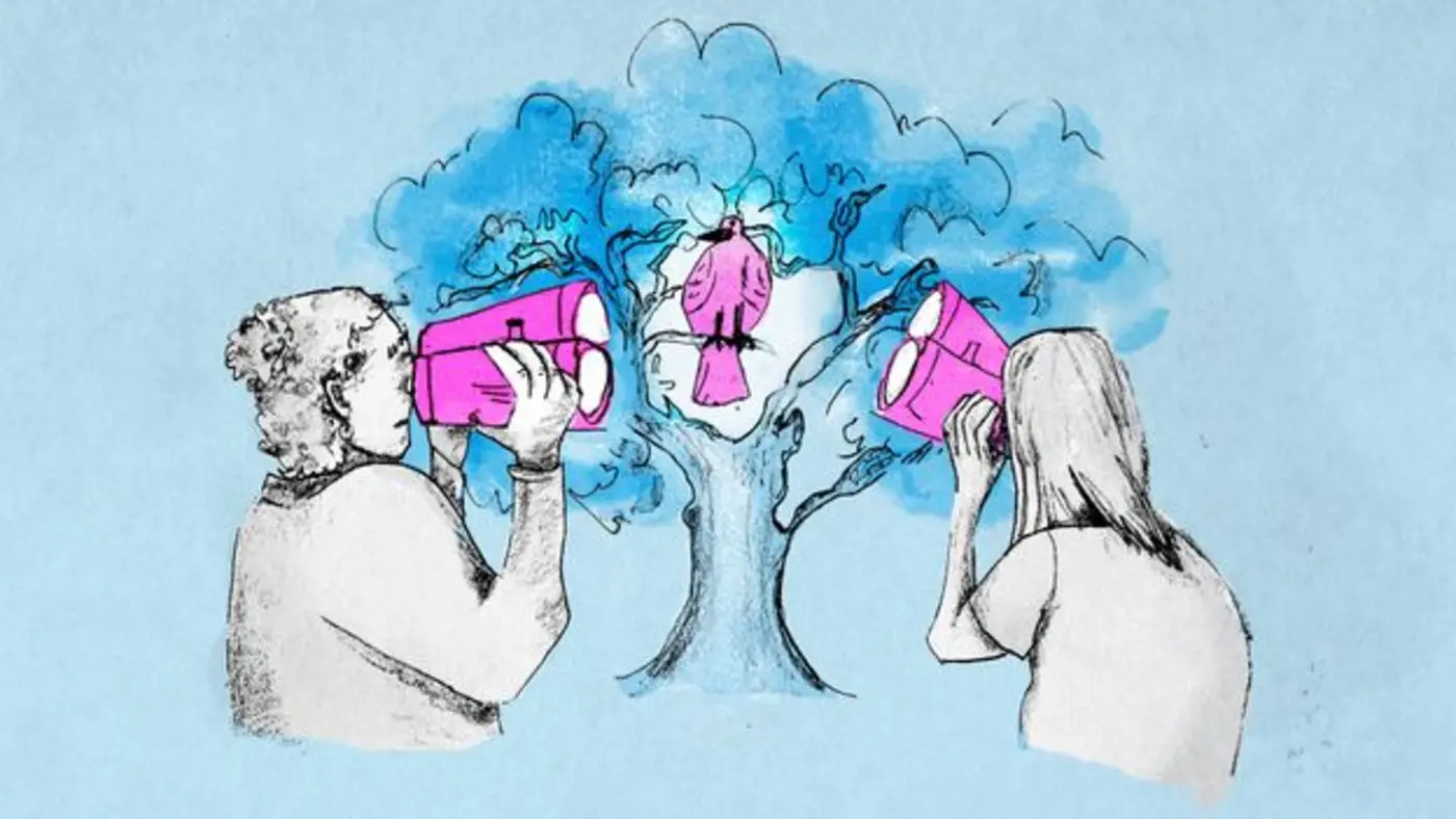 birdwatching rewires the brain and slows cognitive decline