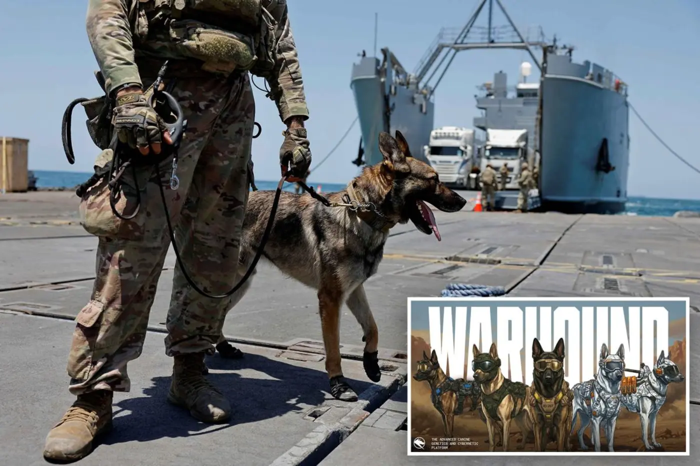 startup raises 200m to create genetically engineered military dogs