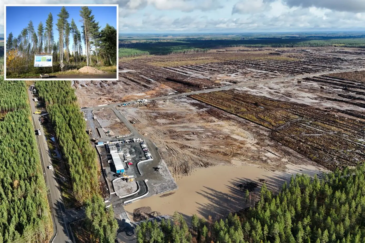 google illegally cut down 250k trees in finland for data center