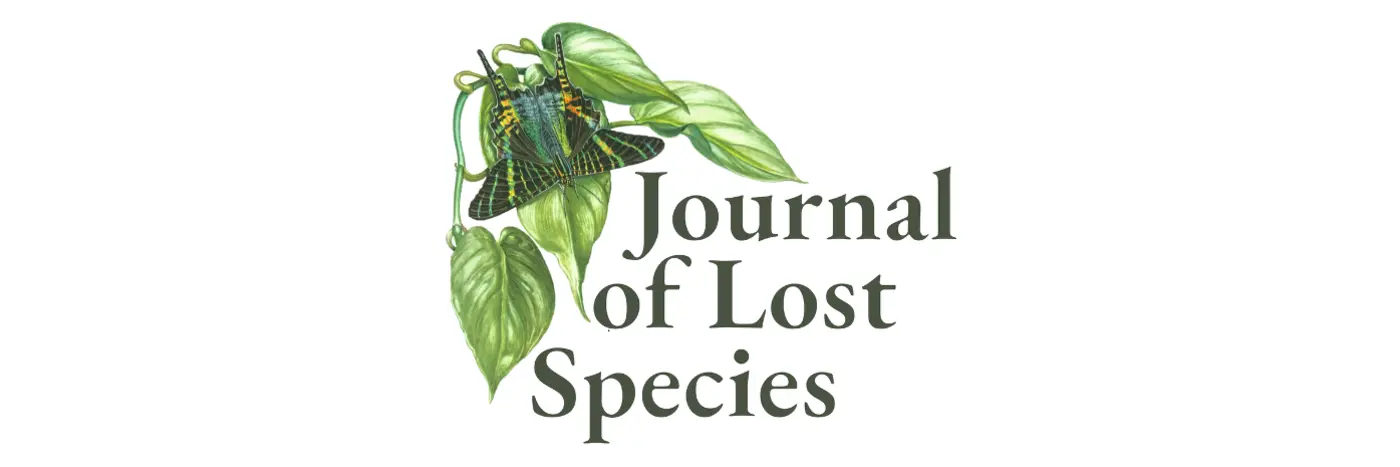 an examination of lost firefly species of the us and canada