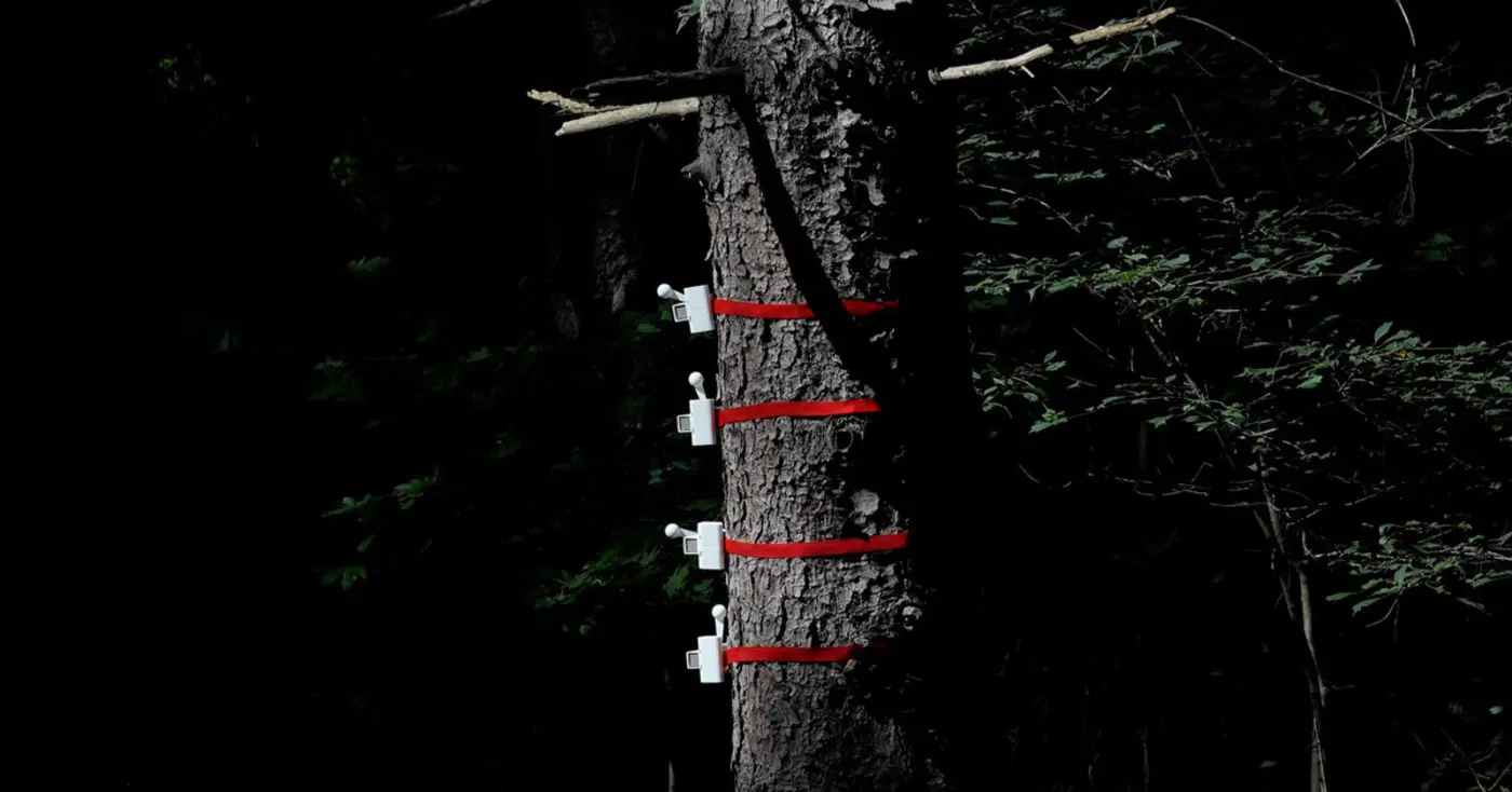 treemounted machines connect to web app to let users knock on wood remotely