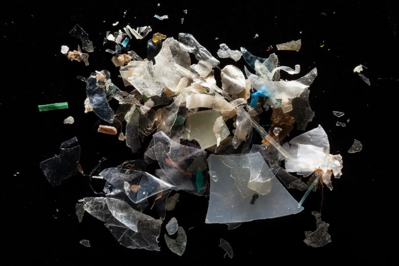 industry knew for decades that microplastics could infiltrate human bodies