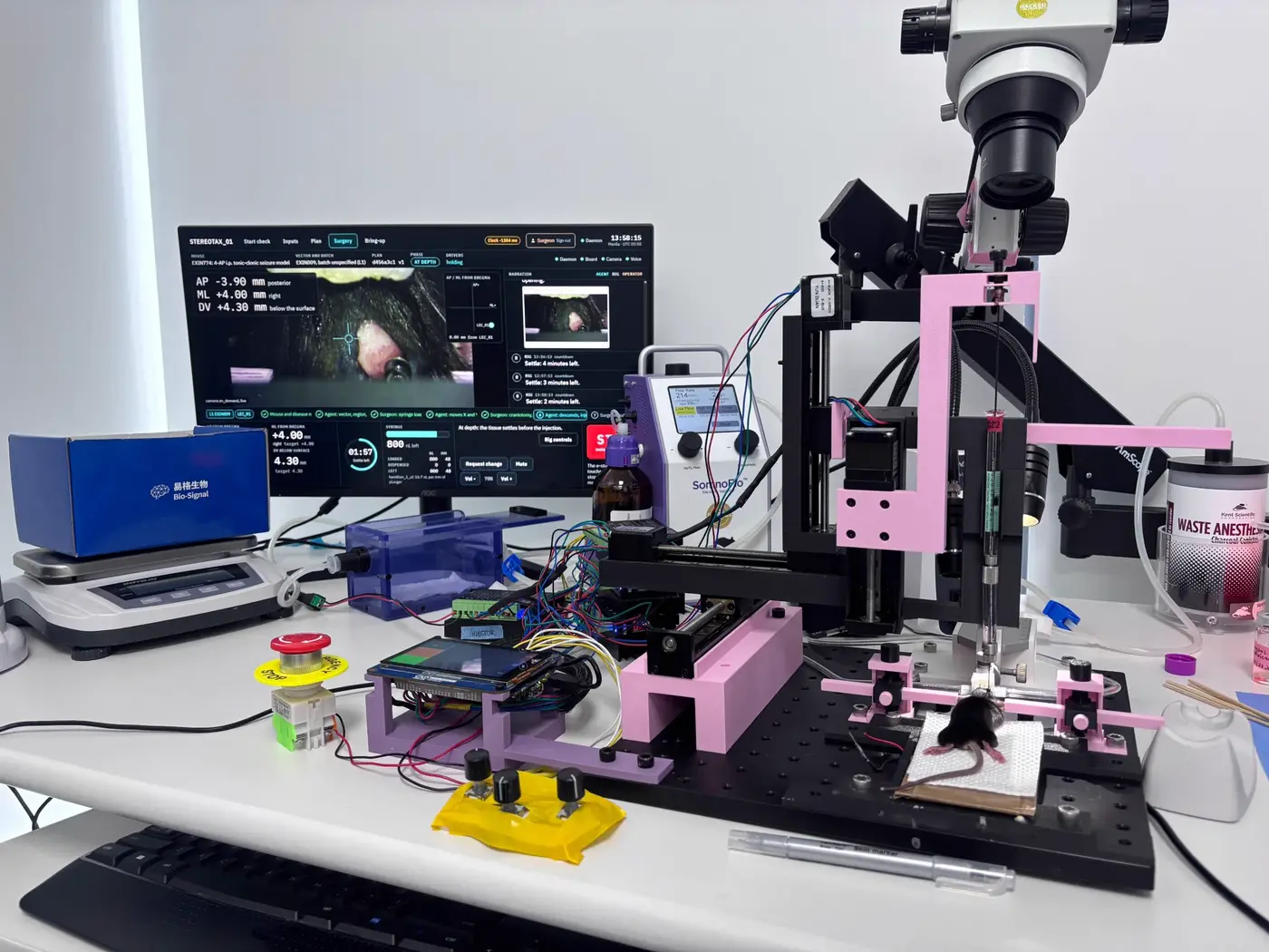last night an ai agent performed brain surgery on a mouse
